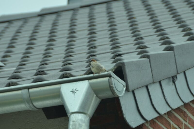 Guttering